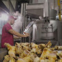 Обработка шерстных субпродуктов КРС